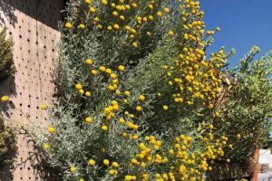 Klimawand in Castrop-Rauxel