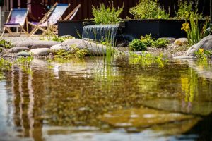 Naturnahe Gestaltung des Außenbereichs der Fa. Laudert in Vreden