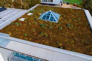 Dachbegrünung im Remscheider Gewerbegebiet Großhülsberg