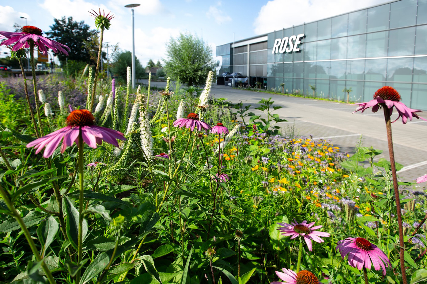 Nachhaltige Freiraumgestaltung bei der Rose Biles GmbH in Bocholt