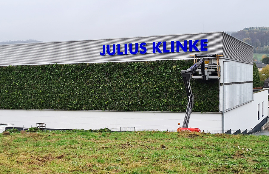 Fassadenbegrünung bei Klinke in Neuenrade