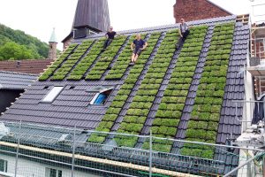 Steildach-Begrünung in Plettenberg durch MyGreenTop