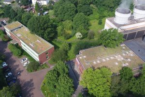 Grüne Dächer der GMVA Gemeinschafts-Müllverbrennungs-Anlage in Oberhausen kühlen das Stadtquartier