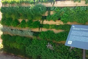 Klimawand auf dem Gelände des Fraunhofer UMSICHT in Oberhausen