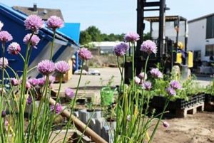 Baum Zerspanungstechnik schafft Feuchtbiotop auf Außengelände