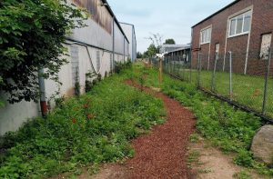 Randflächen bepflanzen, ein Plus für die Belegschaft und die Natur