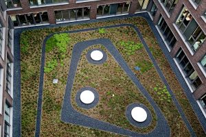 Retentions-Gründach auf dem Verwaltungsgebäude der Mitsubishi Electric Europe B.V.