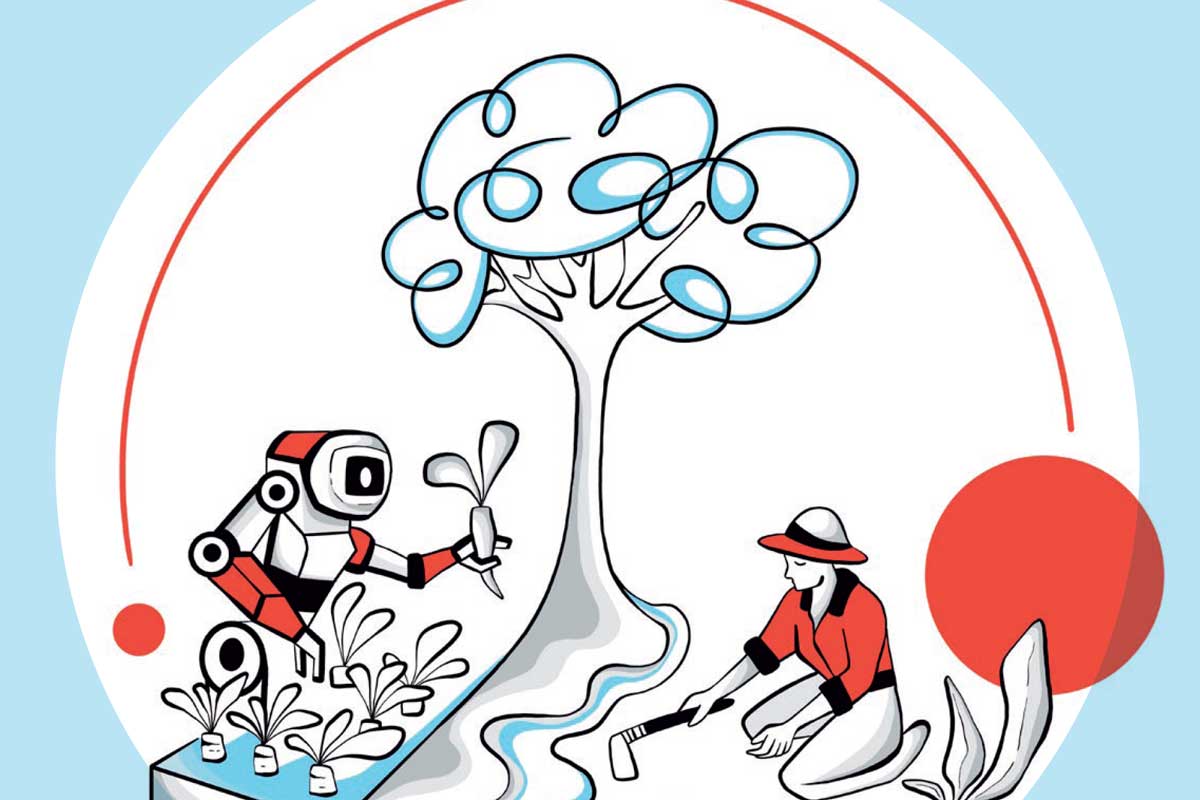 NKU Spotlight Broschüre: KLIMAANGEPASSTE LANDWIRTSCHAFT