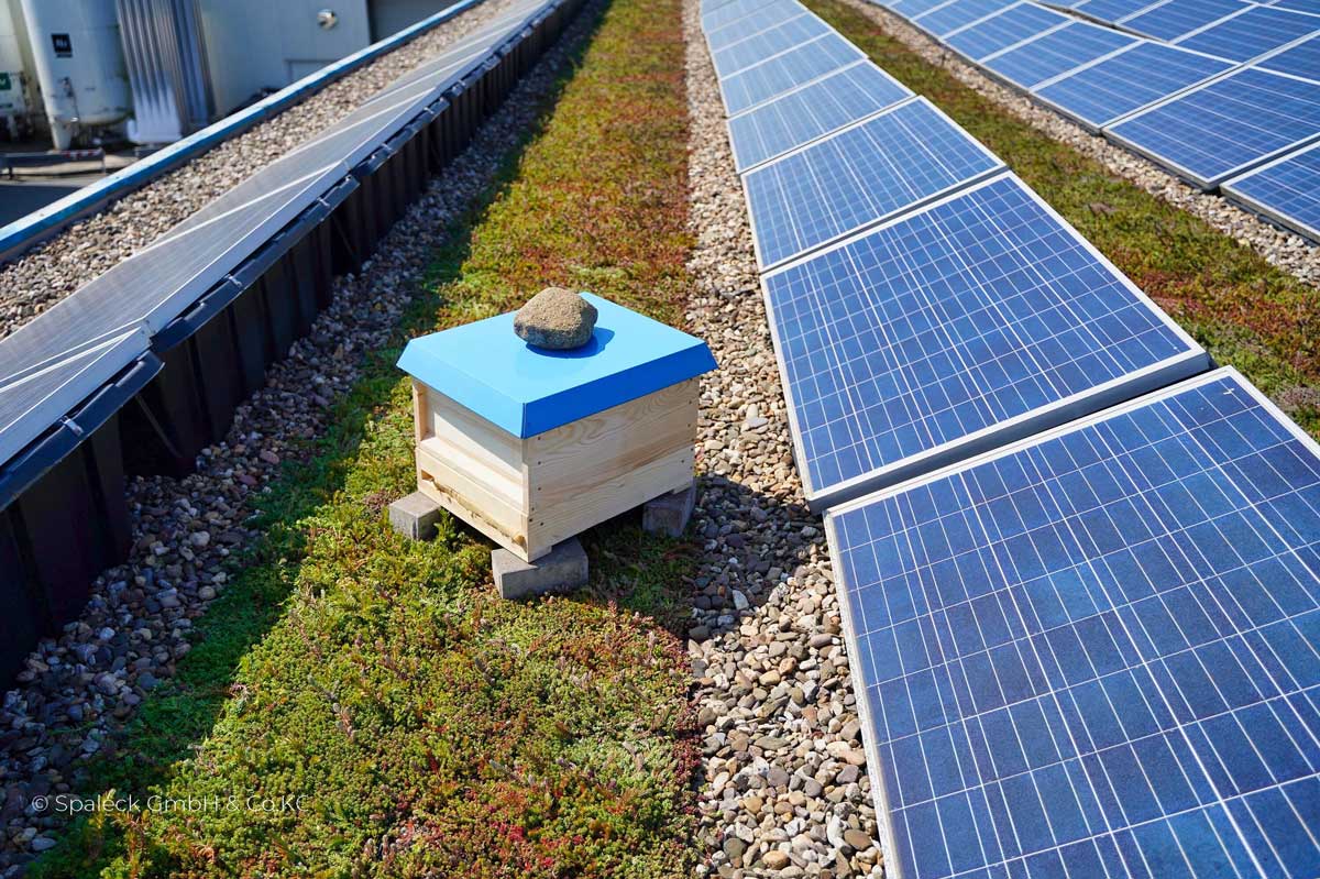 NKU Unternehmen.Machen.Klimaanpassung - Made in NRW: https://klimaanpassung-unternehmen.nrw/wp-content/uploads/2025/12/NKU_BestPractice_Spalek.pdf