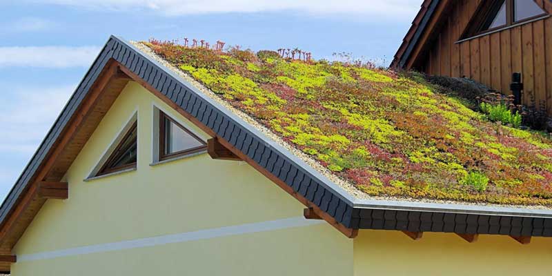 Mehr Schutz vor Klimafolgen: Nordrhein-Westfalen stärkt Unternehmen und Wasserversorgung 