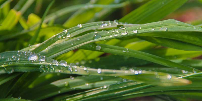 Land und EU stellen 34 Millionen Euro für kommunale Klimaanpassung bereit 