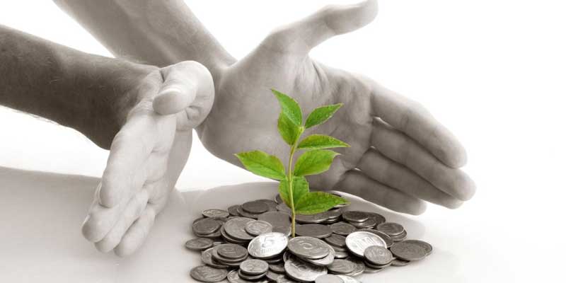 Neue Einreichungsrunde im Förderwettbewerb „Grüne Gründungen.NRW“ gestartet 