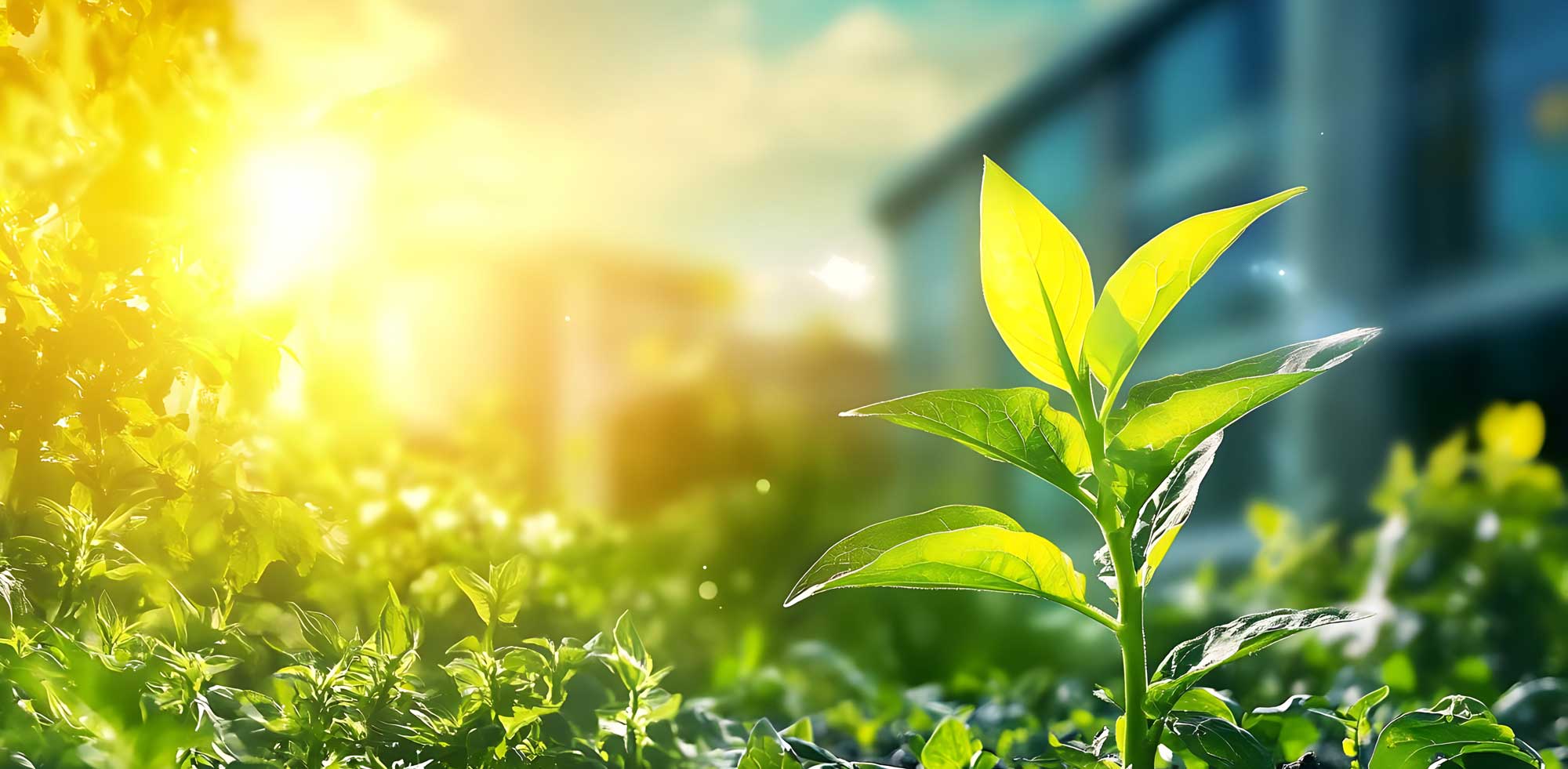 Auftaktdialog: Privatsektor und Klimaanpassung