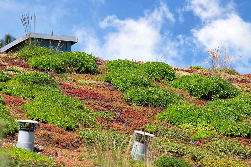 Förderung Klimaanpassung.Unternehmen.NRW