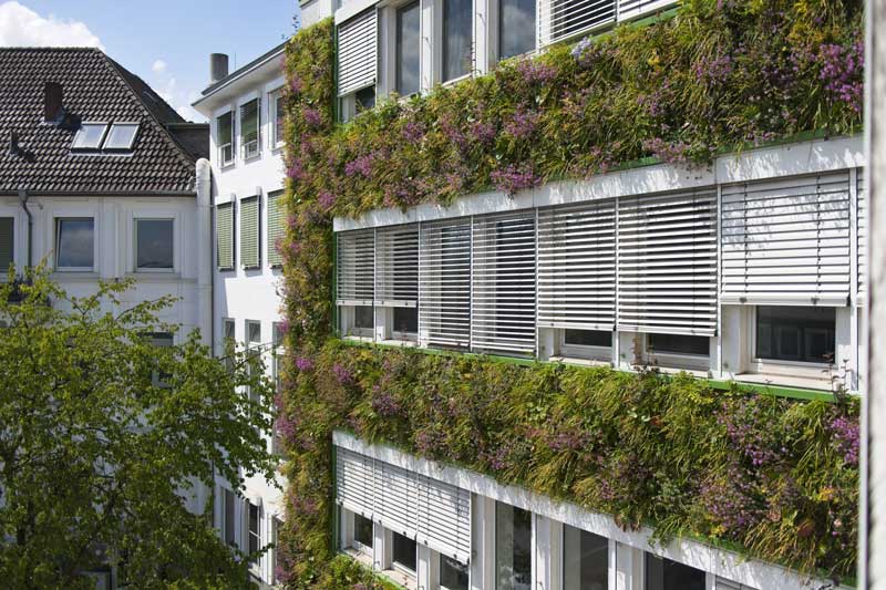 Rückblick Hitzesommer 2026